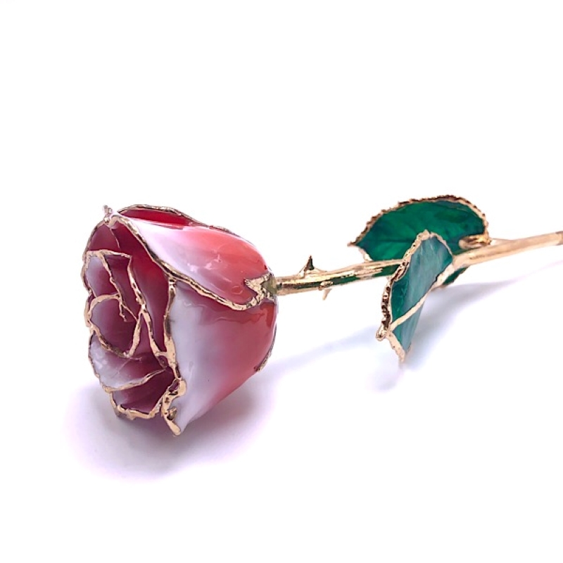 24K Gold Dipped Frozen White & Red Rose